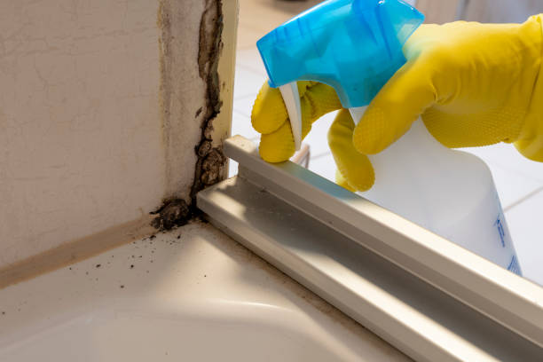 Best HVAC Mold Remediation in Cumberland, IN
